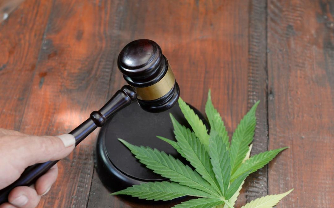 Should cannabis be legalised?