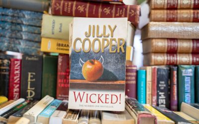 Did market research save Jilly Cooper’s career?